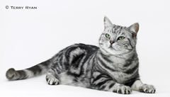 Juice 2-032926 copy.jpg